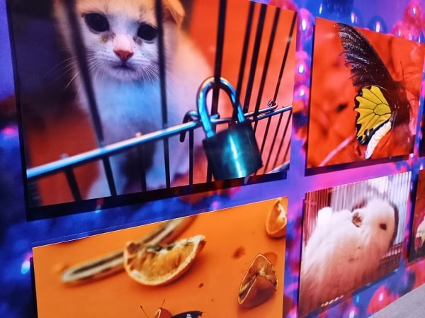 f:id:twistinhaurin:20210321164701j:plain