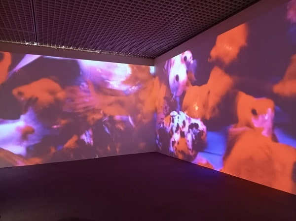 f:id:twistinhaurin:20210321164705j:plain