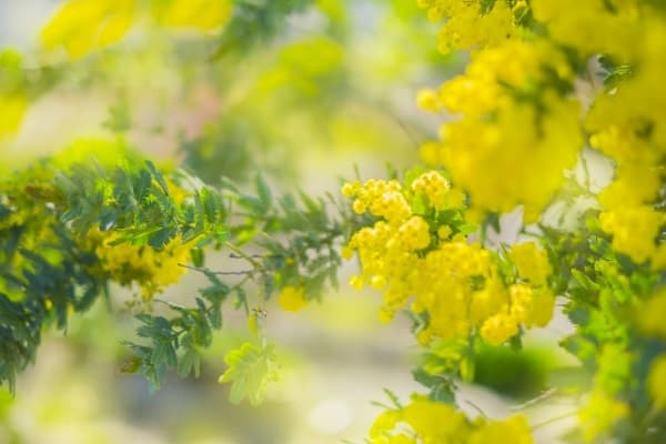 f:id:twistinhaurin:20210703142803j:plain