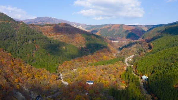 岐阜県の紅葉しているせせらぎ街道
