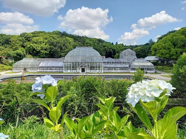 東山動植物園の温室の外観