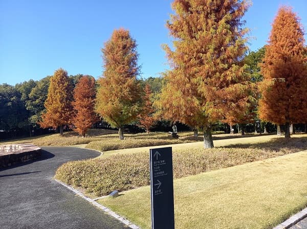 豊田市美術館