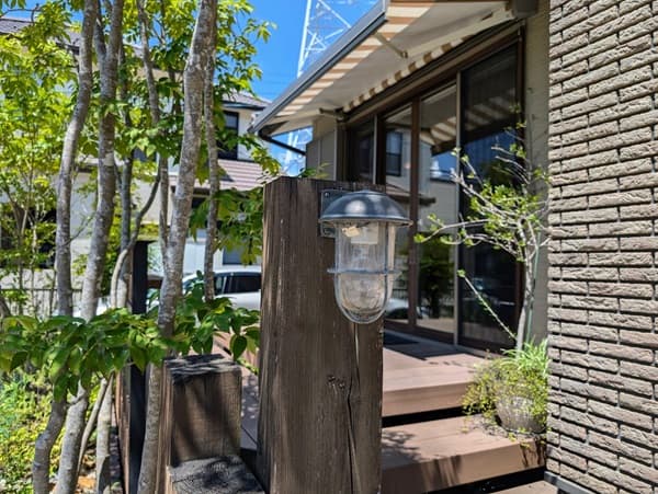 植物と建物の1階にある窓