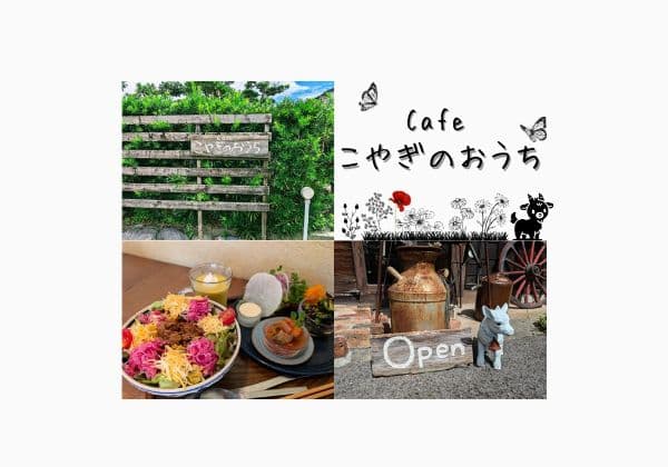 植物をバックに木の塀と美味しいランチと子ヤギの置物など