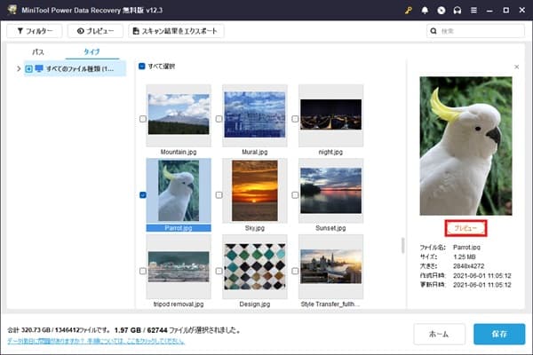 MiniTool Power Data Recoveryの画面で鳥などいろんな写真がある