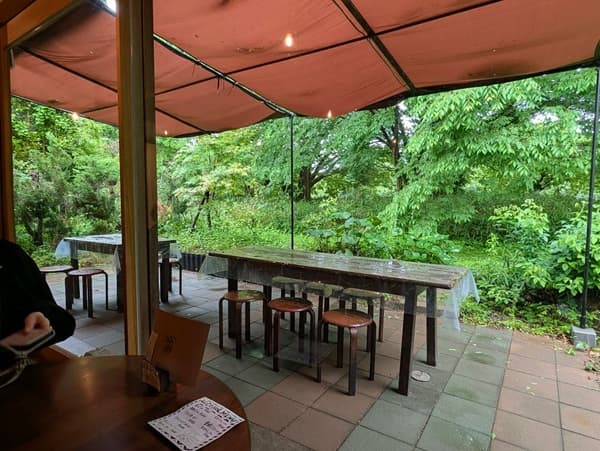 建物の中から撮った緑が見える外の光景