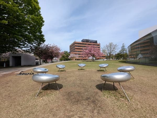金沢２１世紀美術館の外に置いてある作品