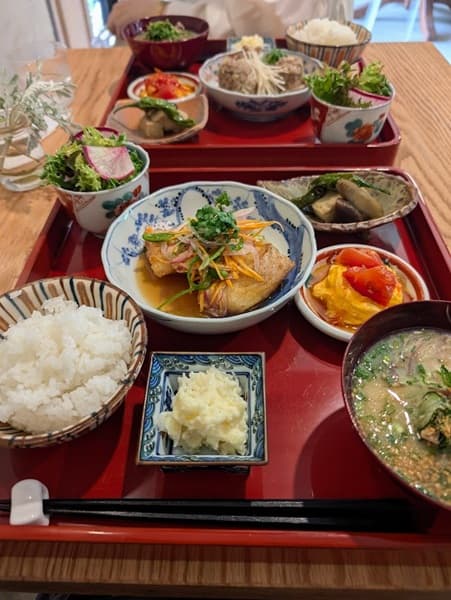 キレイにいろんなお皿に盛られた和風のランチ