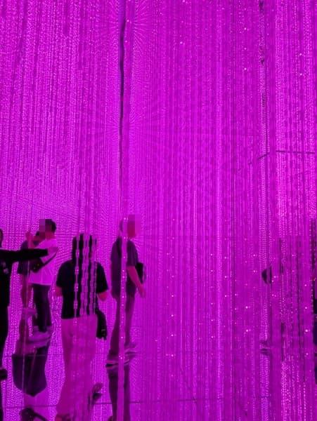 チームラボ京都の「Infinite Crystal World」で紫色の光るカーテンの様な物の中に佇む人々