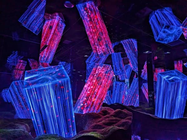 チームラボ京都の「開いた小宇宙の中のメガリス」
