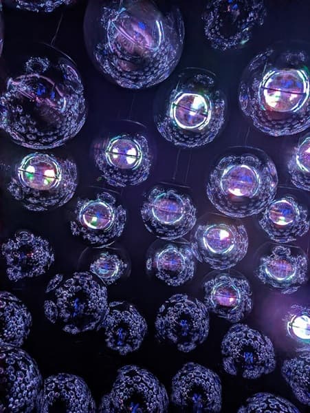 チームラボ京都の「光の球体結晶」で多数の光る球体がある
