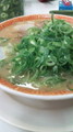 [ごはん][ふぉれ]ネギだくラーメン(ラーメン横綱)