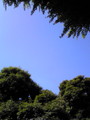 [sugarkay]ね〜いい天気！