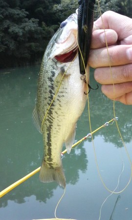 不本意だけどドッグＸjr当たり。２本目