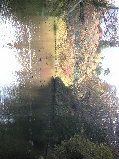 f:id:twitter:20081114140635:image