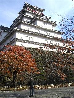 f:id:twitter:20081114142330:image