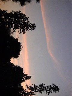 f:id:twitter:20081114163615:image