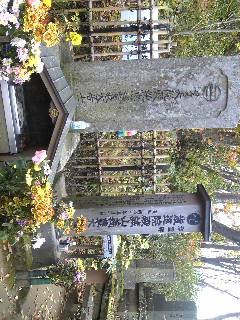 f:id:twitter:20081115112214:image