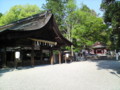 [t_t]大縣神社（おおあがたじんじゃ）は愛知県を開拓した神様を祭ると言わ