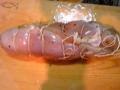 ※生肉注意 鶏肉縛ったｗｗｗ