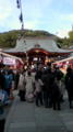 生田神社なう。人多いけどスムーズ