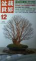 I got a magazine of BONSAI, art of aesthetic miniaturization of trees, because the picture of th