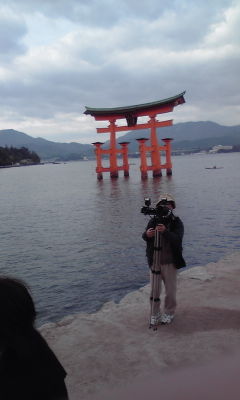 宮島きれい 