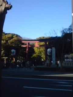めっちゃ並んでる…