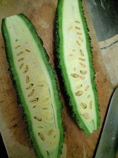 年末にわしたショップで買ったゴーヤーがとても立派な件。夏野菜、こ