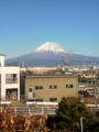 今日は快晴で、勤務先からは富士山がすごく近くに見えて気持ち良い。