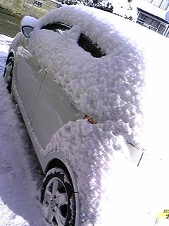 飯食ったあとに雪を落としてあげることにする