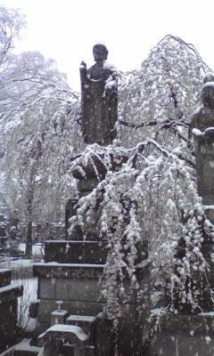 4月22日 そろそろ桜が見頃な福島県白河市は、こんなお天気になってる