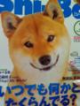 犬〜(TΔT)