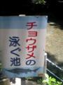 硬骨魚です。サメ！わはーとか言ったら、福岡の美人が投稿読んでくれ