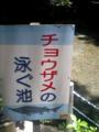 硬骨魚です。サメ！わはーとか言ったら、福岡の美人が投稿読んでくれ