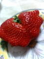 strawberry