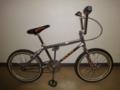 プレゼントしたサドル使ってくれてる〜！自転車かっけ〜！