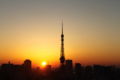 今朝の朝日 #osanpocamera