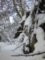 歩くの休憩。雪積もりすぎ。