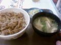  今日もまた牛丼(爆)サラリーマンの力の源です( 笑)