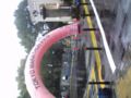写真忘れたので再度。日比谷公園なう。10Kmの方のゴール地点です。参