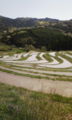 千葉県の大山千枚田に到着。