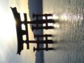 帰りの宮島。目に見える速さで潮が満ちていくのは、海の女神様たちの