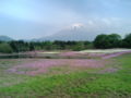  L:山梨県富士河口湖町富士河口湖町