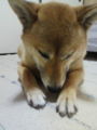 携帯向けると眼そらすんよなぁ(´・ω・｀)