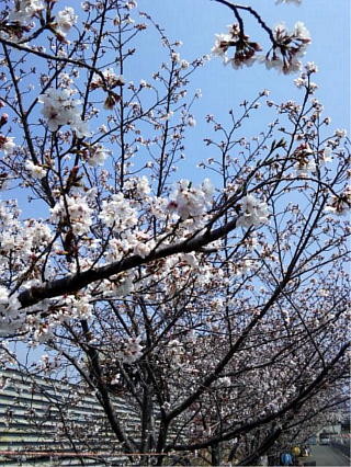 f:id:twobytwo:20120409233634j:image f:id:twobytwo:20120409233634j:image