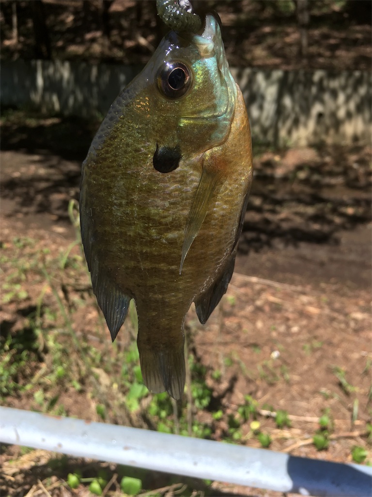 f:id:ty-0904:20190912192334j:image