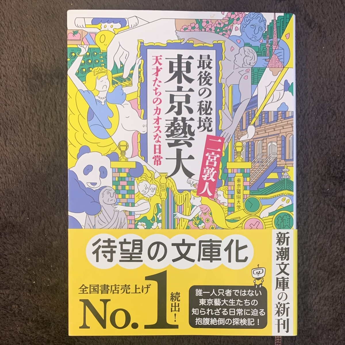 最後の秘境 東京藝大 天才たちのカオスな日常 を読みました 大人からはじめた ヴァイオリン