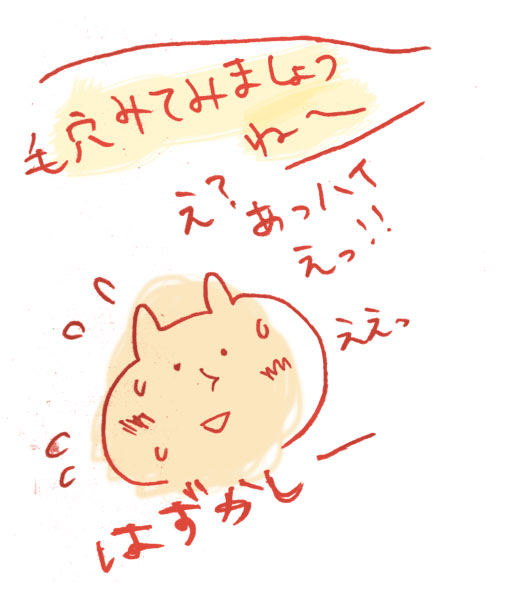 f:id:tya_hashi:20160808210909j:plain