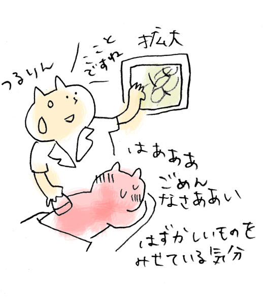 f:id:tya_hashi:20160808211246j:plain